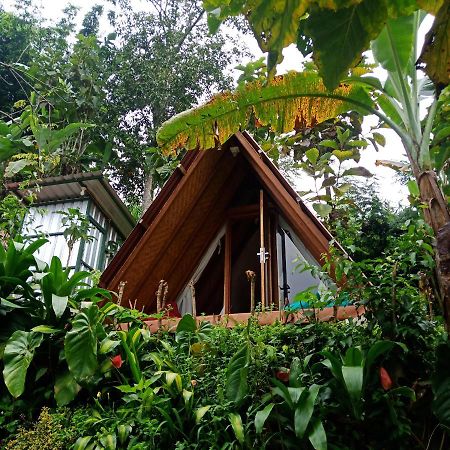 Eco Bedugul Adventurer Camp Bed & Breakfast Екстериор снимка