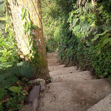 Eco Bedugul Adventurer Camp Bed & Breakfast Екстериор снимка