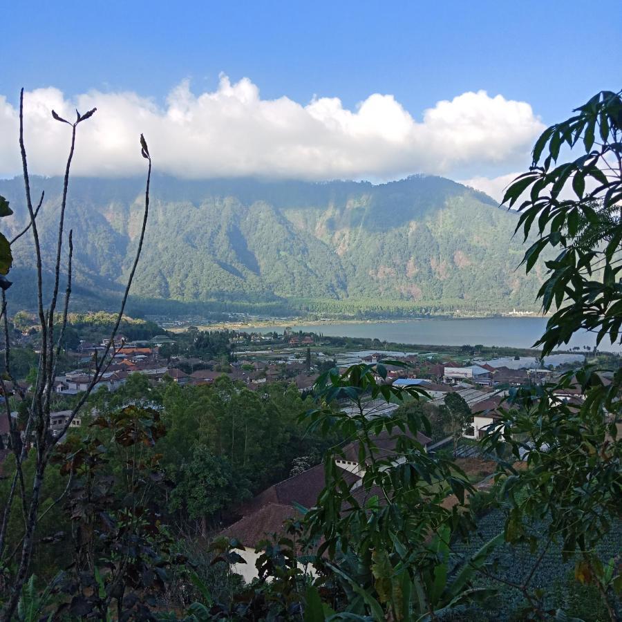 Eco Bedugul Adventurer Camp Bed & Breakfast Екстериор снимка