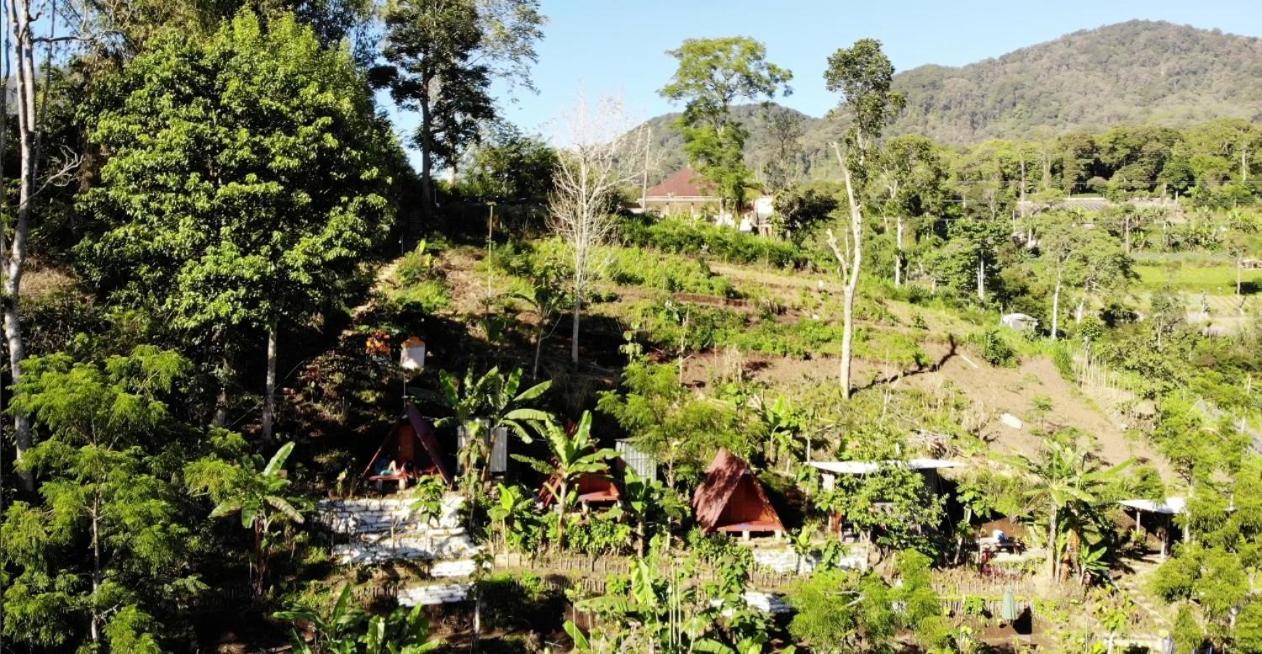 Eco Bedugul Adventurer Camp Bed & Breakfast Екстериор снимка