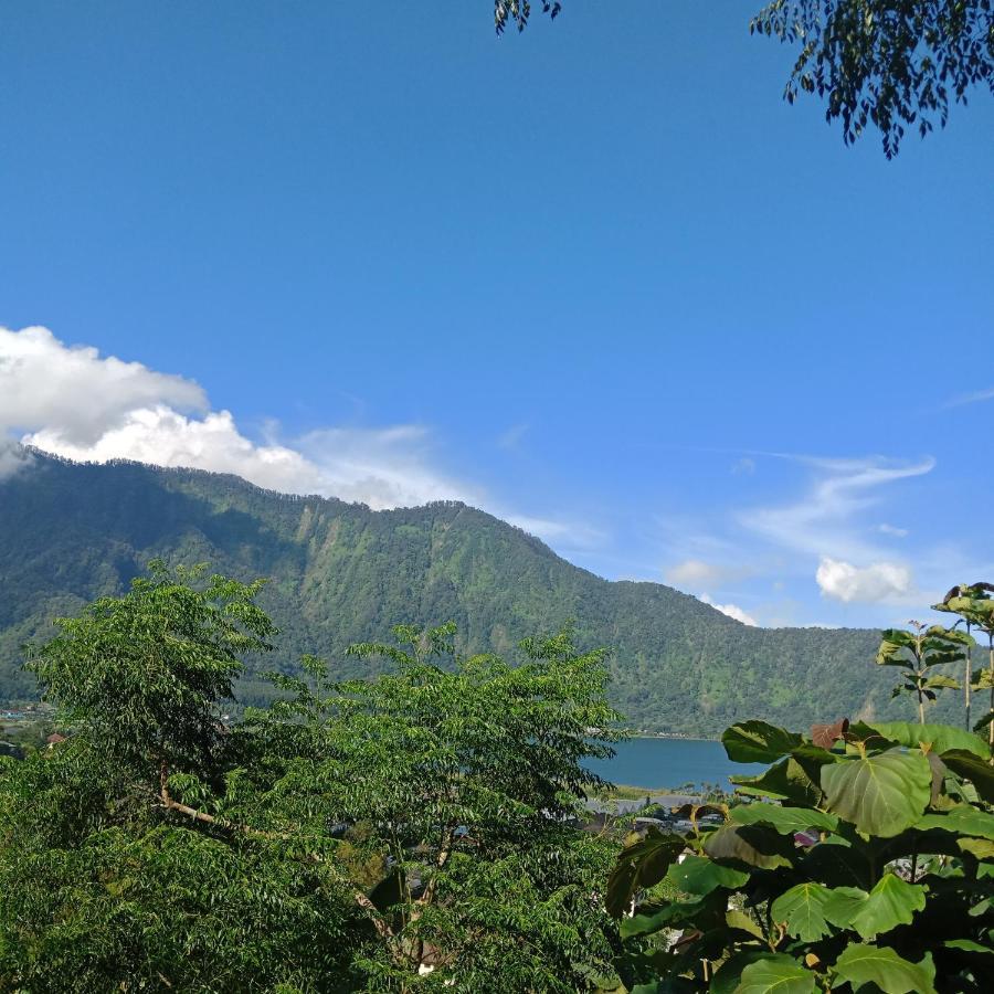 Eco Bedugul Adventurer Camp Bed & Breakfast Екстериор снимка