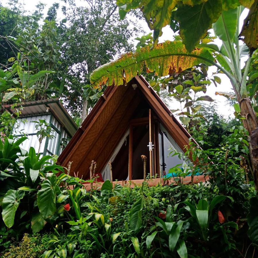 Eco Bedugul Adventurer Camp Bed & Breakfast Екстериор снимка