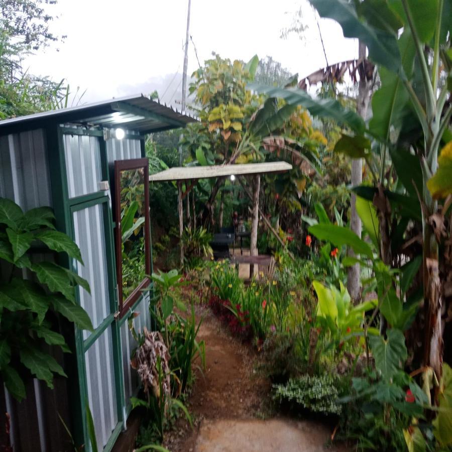Eco Bedugul Adventurer Camp Bed & Breakfast Екстериор снимка