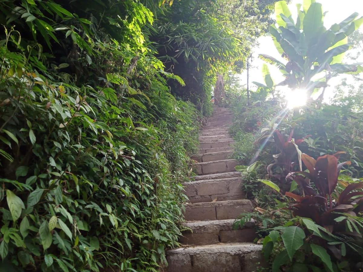 Eco Bedugul Adventurer Camp Bed & Breakfast Екстериор снимка